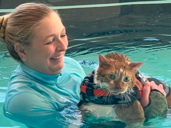 Ty a clases de natación: La historia del gato en terapia para bajar de peso