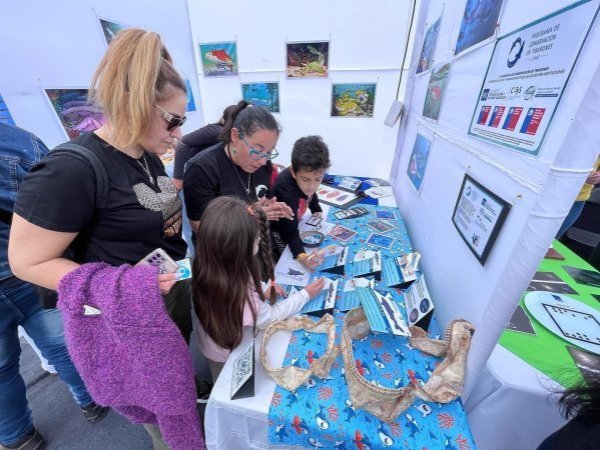 Programa de Conservación de Tiburones se presentará en Puerto de Ideas
